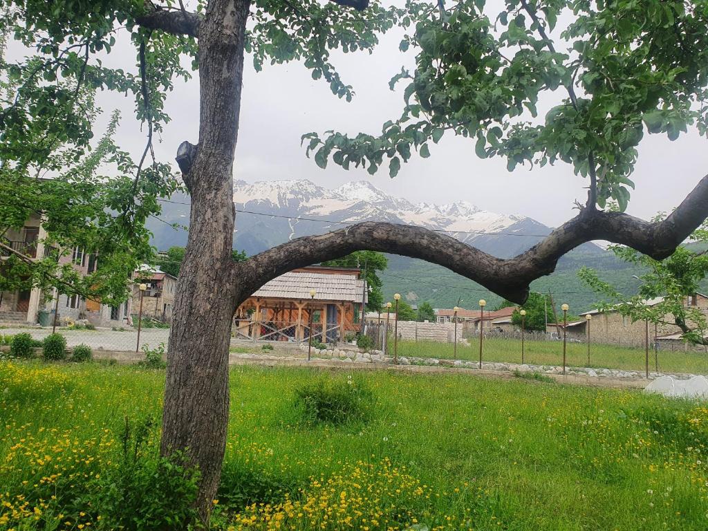 Mountain Star in Mestia room 2