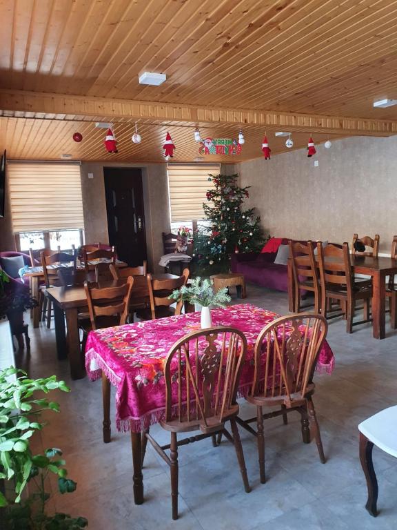 Mountain Star in Mestia room 6